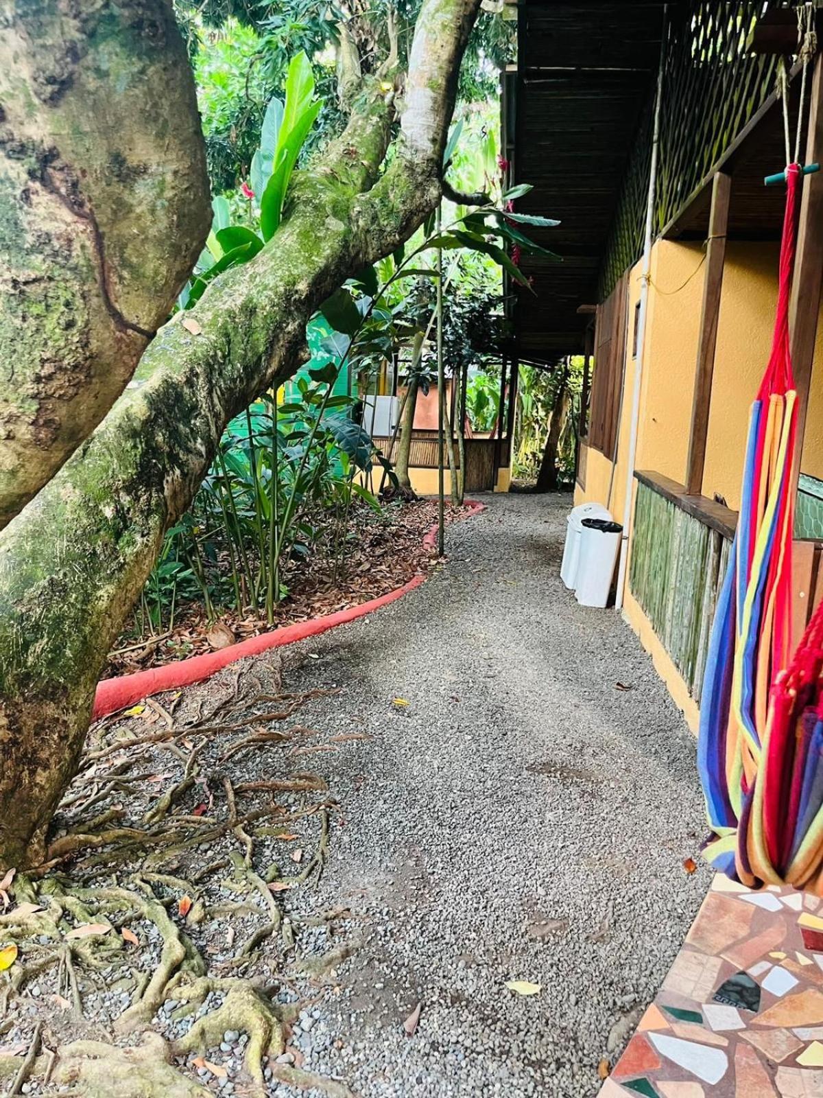La Casa De Rolando Villa Puerto Viejo de Talamanca Kültér fotó