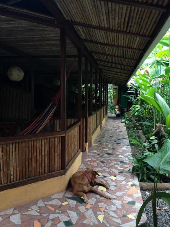 La Casa De Rolando Villa Puerto Viejo de Talamanca Kültér fotó